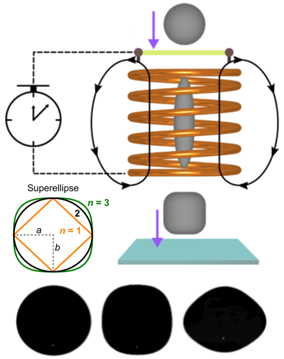 The role of drop shape in impact and splash